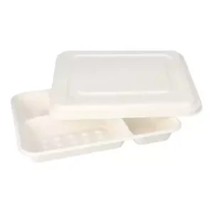 Pokrywka do tacy z trzciny cukrowej 1,4 x22,5 x29 mm 25sztuk